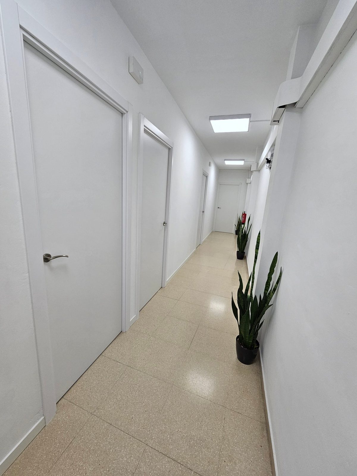 Despacho 4 Santa Coloma